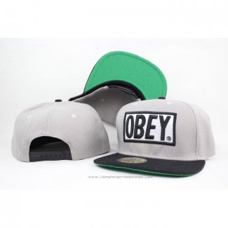 Gorra Plana OBEY Classic 3D With Tags Gris Negro Verde